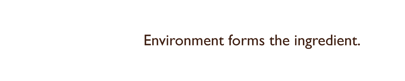 AFRO FOODZ: Environment forms the ingredient.